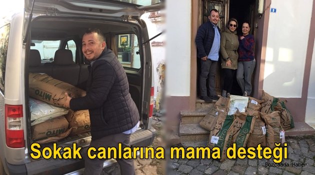 AKP İlçe Başkanı Aktan'dan sokak canlarına destek