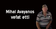 Mihal Avayanos, Nea Tenedos'ta yaşamını yitirdi