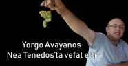 Yorgo Avayanos 54 yaşında yaşamını yitirdi