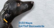 Hayvan Hakları Federasyonu üyeleri Bozcaada’ya geliyor