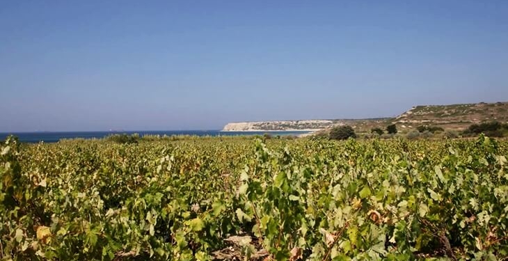 Bozcaada’da bağ evine hırsız girdi