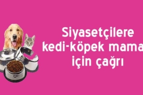 adaylara-bozcaada-canlari-icin-mama-cagrisi