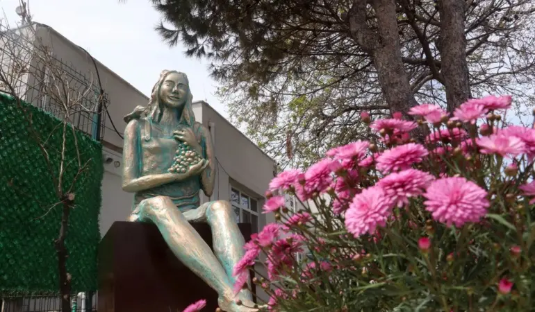 Geçmiş olsun Belgin Şahin