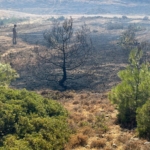 701b03b6-b08e-4955-9f31-f3041c77513a