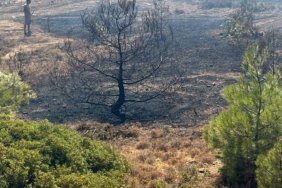 701b03b6-b08e-4955-9f31-f3041c77513a