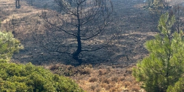 701b03b6-b08e-4955-9f31-f3041c77513a