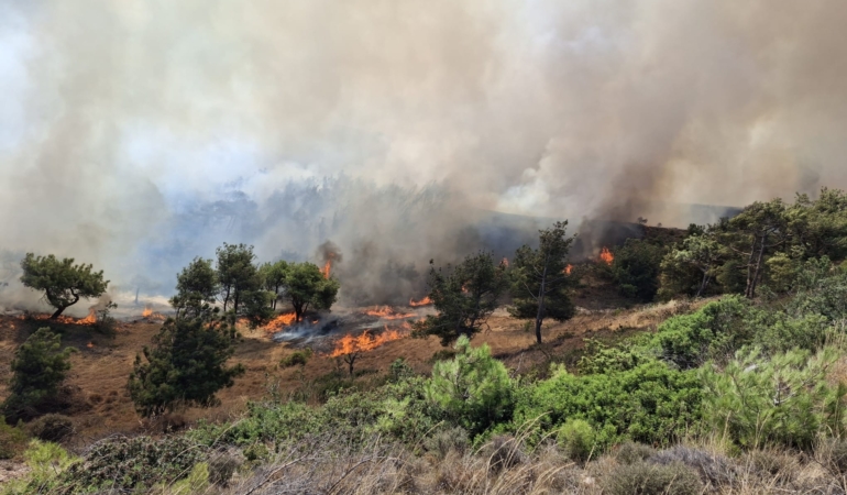 Bozcaada’da peş peşe yangınlar