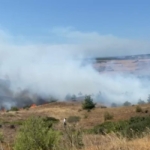 WhatsApp Image 2024-08-18 at 00.07.02