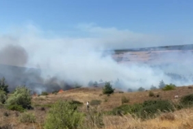 WhatsApp Image 2024-08-18 at 00.07.02