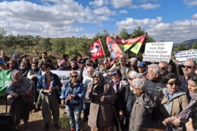 bozcaada Kazdağları protesto
