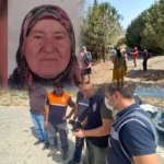 e72d55c4-e4df-4298-a21e-f90adaf80ac0