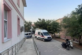 854d3c69-f85a-4328-a0e2-a7c5c4cc4292