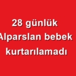 basaran-ciftinin-buyuk-acisi