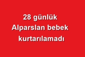 basaran-ciftinin-buyuk-acisi