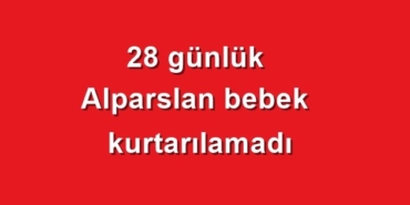 basaran-ciftinin-buyuk-acisi