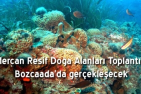 bu-toplantida-denizlerimiz-konusulacak