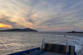 f182e7a0-5962-4fb2-a7ea-f9caf8eba8a6