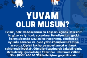 bozcaada belediye yuvam olur musun