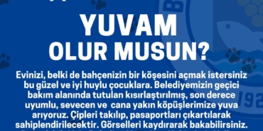 bozcaada belediye yuvam olur musun