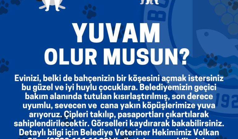 Bozcaada Belediyesi’nden Anlamlı Çağrı: “Yuvam Olur musun?”
