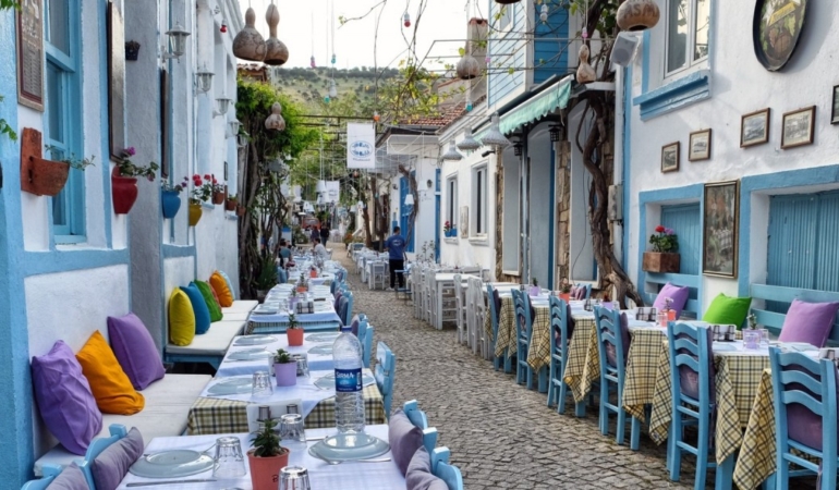 Bozcaada’da sinek sorunu artıyor