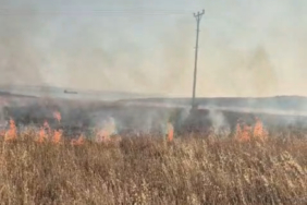 bozcaada ayana mevkii yangın