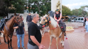 bagbozumu bozcaada