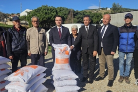 588403497_1139432061640828_7290693784930698713_n