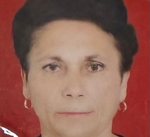 emine gönül dönmez bozcaada vefat