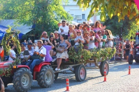 bağ bozumu