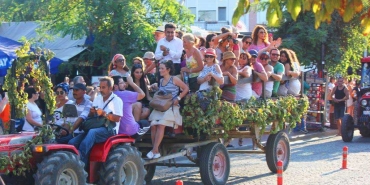 bağ bozumu